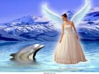 Angel n dolphin