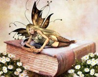 Fairy in a book