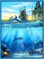 Dolphins: At Play