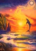 Dolphins: Sunset