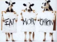 Cow Protest