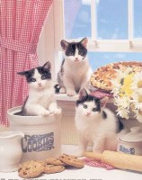 Kitchen Kitties