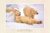 Bad Boys Of The Arctic
