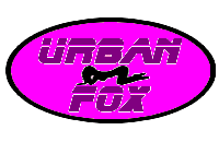 Urban fox (gif)