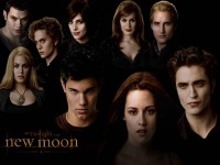 twilight new moon poster(