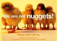 We are not nuggets