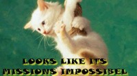 misssion impossible cat