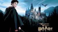 Harry and Hogwarts school
