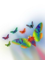 abstract b*tterflies