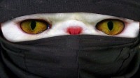 terrorist kitty