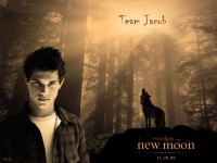 Twilight New Moon Poster