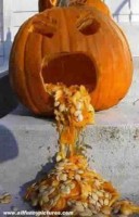 sick pumpkin (jpg)