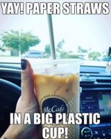 plastic paper straw