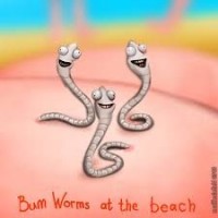 bum worm lol
