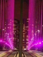 pink bridge