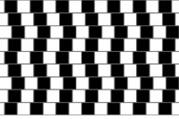 Optical illusion 1