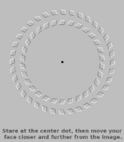 Optical illusion 4