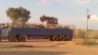 double road train full of