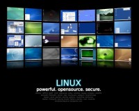 Bunch of Linux distros