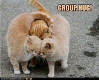 groooooop hug