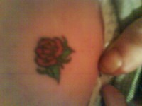 My lil rose