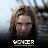 Chat de Whatsapp II | Wonder