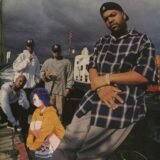 𝐂𝐇𝐀𝐓 𝐞 𝐅𝐈𝐆𝐔𝐑𝐈𝐍𝐇𝐀𝐒™