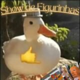 ıllıllı⭐🌟 S͙h͙o͙w͙ d͙e͙ Fi͙g͙u͙r͙i͙n͙h͙a͙s͙ 🌟⭐ıllıllı