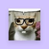 Venda de conta e sorteios