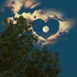 ⚫🌊House Das Amizades🌊⚫