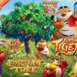 PLATAFORMAS E SLOTS COM BÔNUS