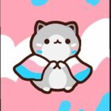 Grupo trans 🏳‍⚧⚧